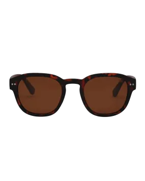 Barton Polarised Sunglasses in Tortoise & Brown