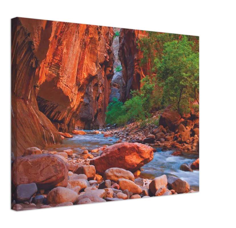 Virgin River, Zion National Park - Print