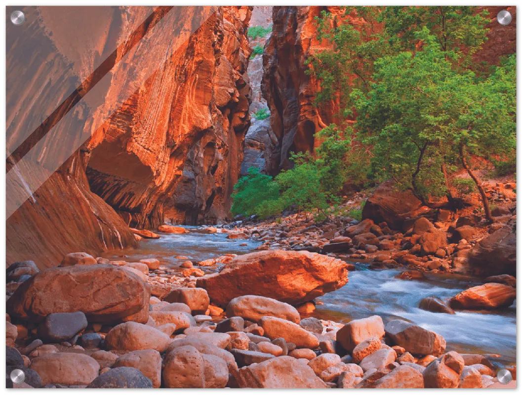 Virgin River, Zion National Park - Print